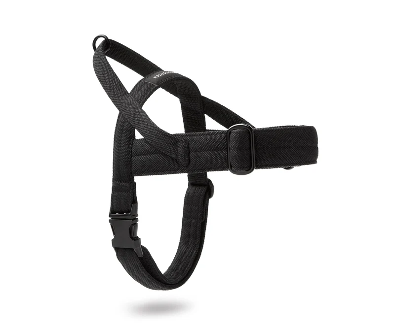 Sellerie Teckel Harnais Soft Rock Noir