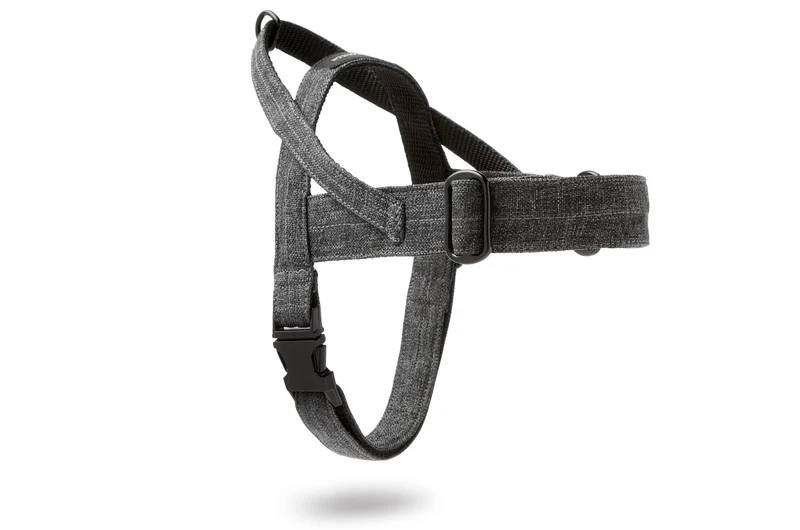 Sellerie Teckel Harnais Soft Rock Gris