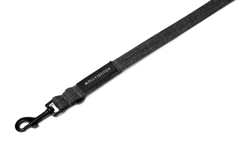 Sellerie Teckel Collier Soft Rock Gris