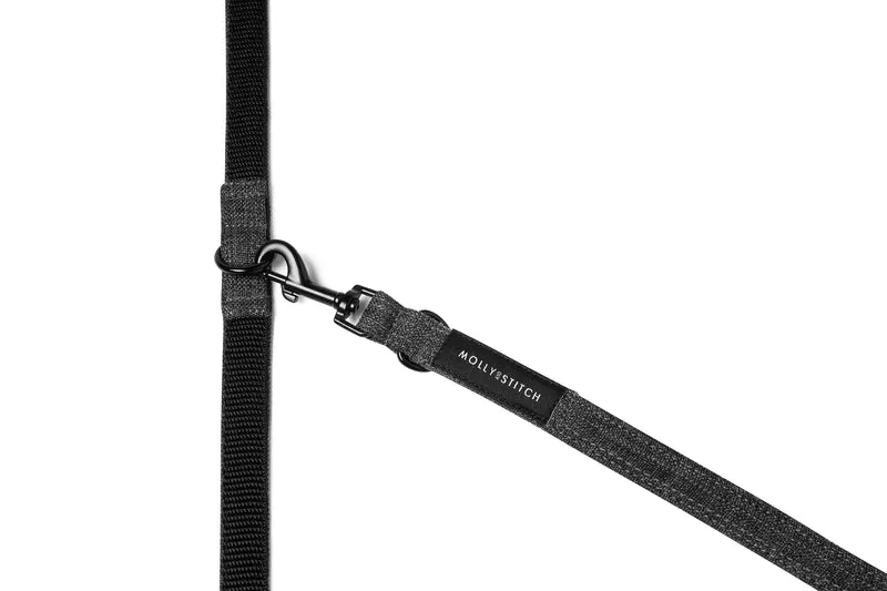 Sellerie Teckel Collier Soft Rock Gris