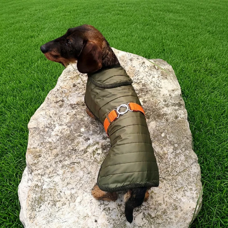 Vêtement Teckel Quilt Veste Verte (sur mesure)