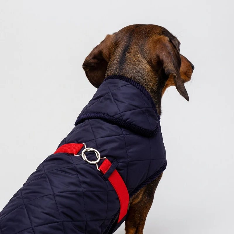 Vêtement Teckel Quilt Veste Verte (sur mesure)