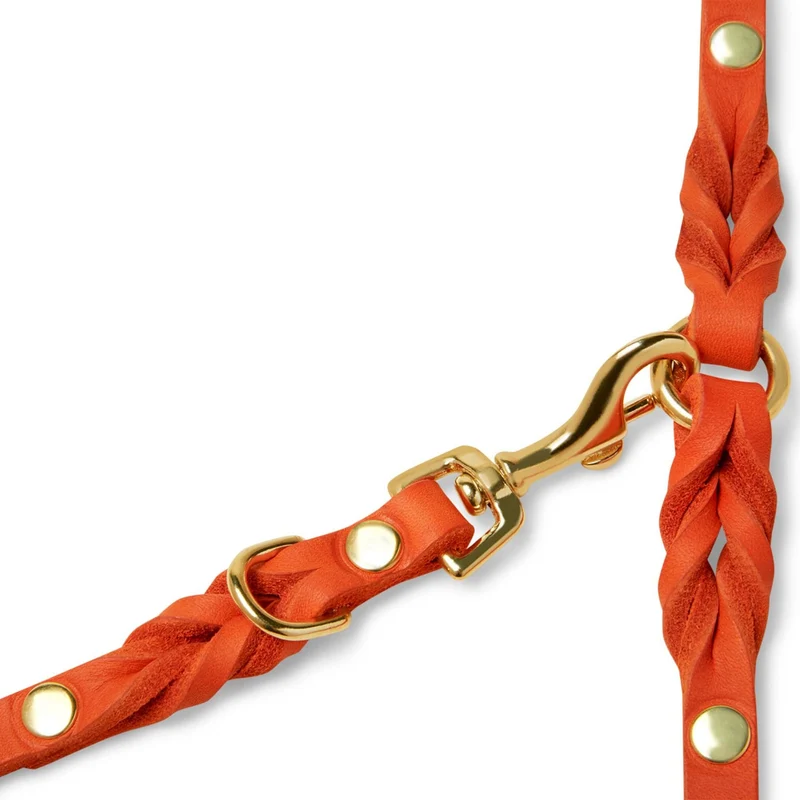 Sellerie Teckel Laisse Cuir Butter Mangue X3 (ajustable)