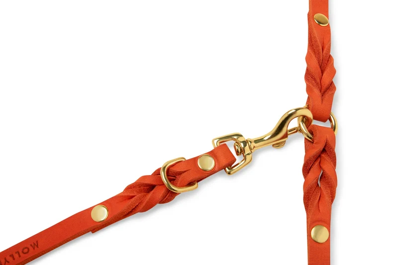 Sellerie Teckel Laisse Cuir Butter Mangue X2 (ajustable)