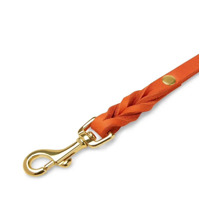 Sellerie Teckel Laisse Cuir Butter Mangue
