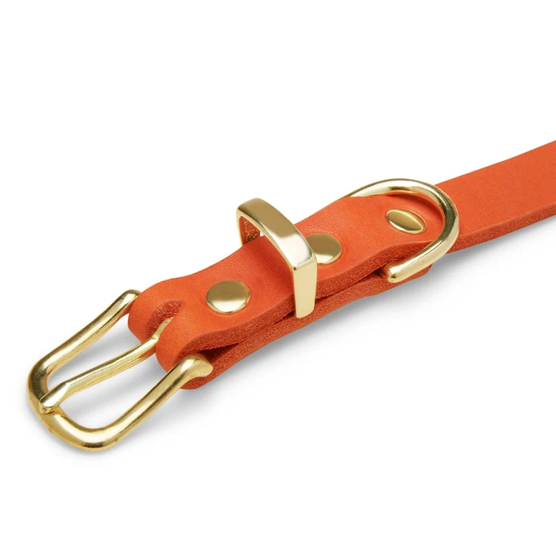 Sellerie Teckel Collier Cuir Butter Mangue