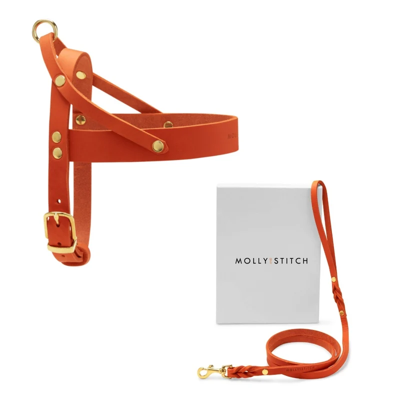 Sellerie Teckel Harnais en T Cuir Butter Mangue