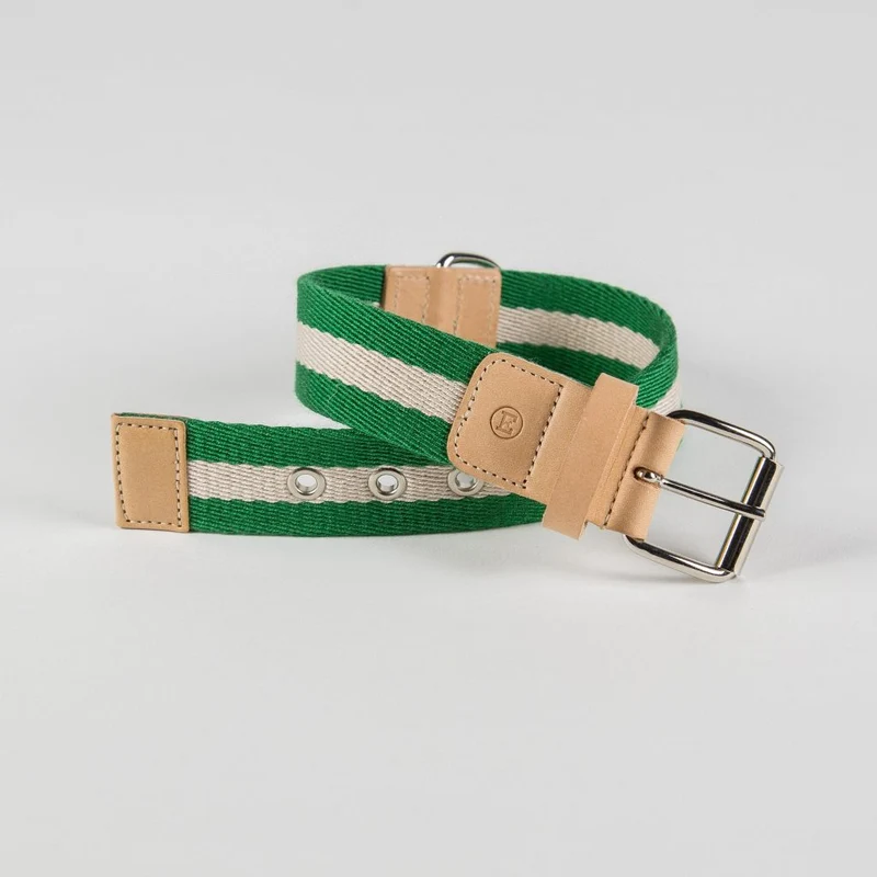 Sellerie Teckel Collier Tissu (vert&crème)