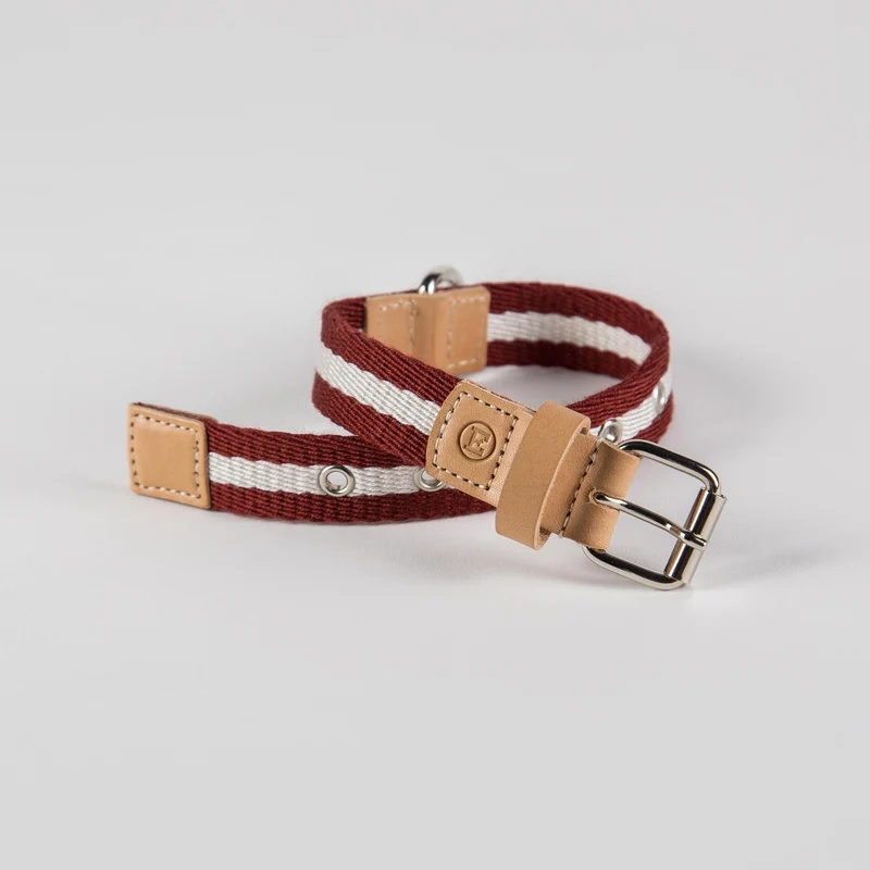Sellerie Teckel Collier Tissu (bordeaux&crème)