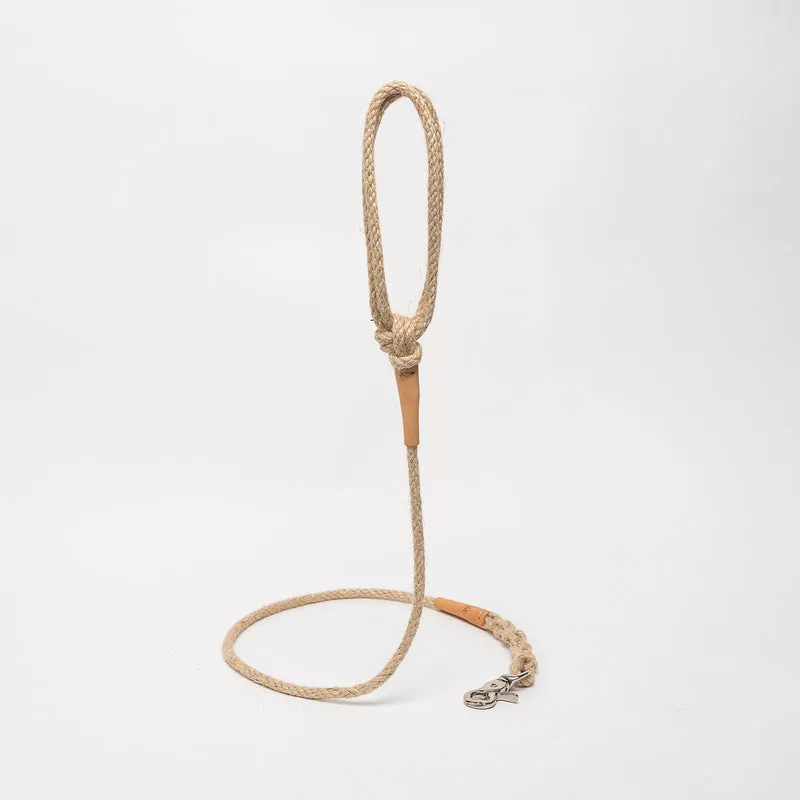 Sellerie Teckel Collier Tissu (bordeaux&crème)