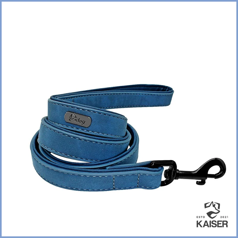 Hundeleine Leder