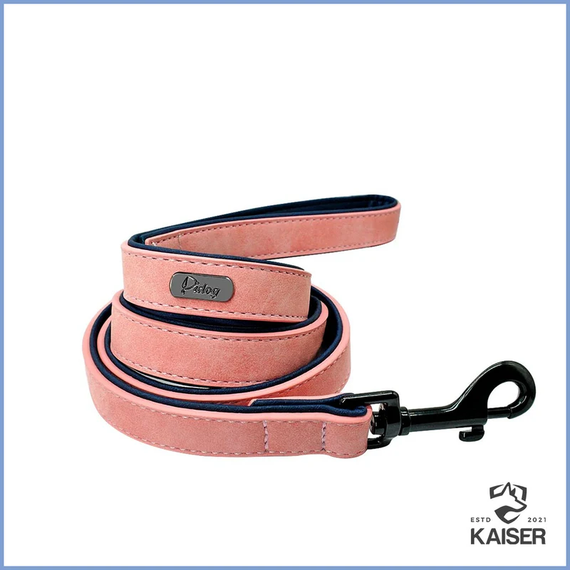 Hundeleine Leder