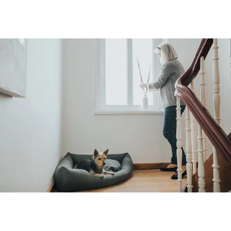 Hunter Hunde-Ecksofa Livingston