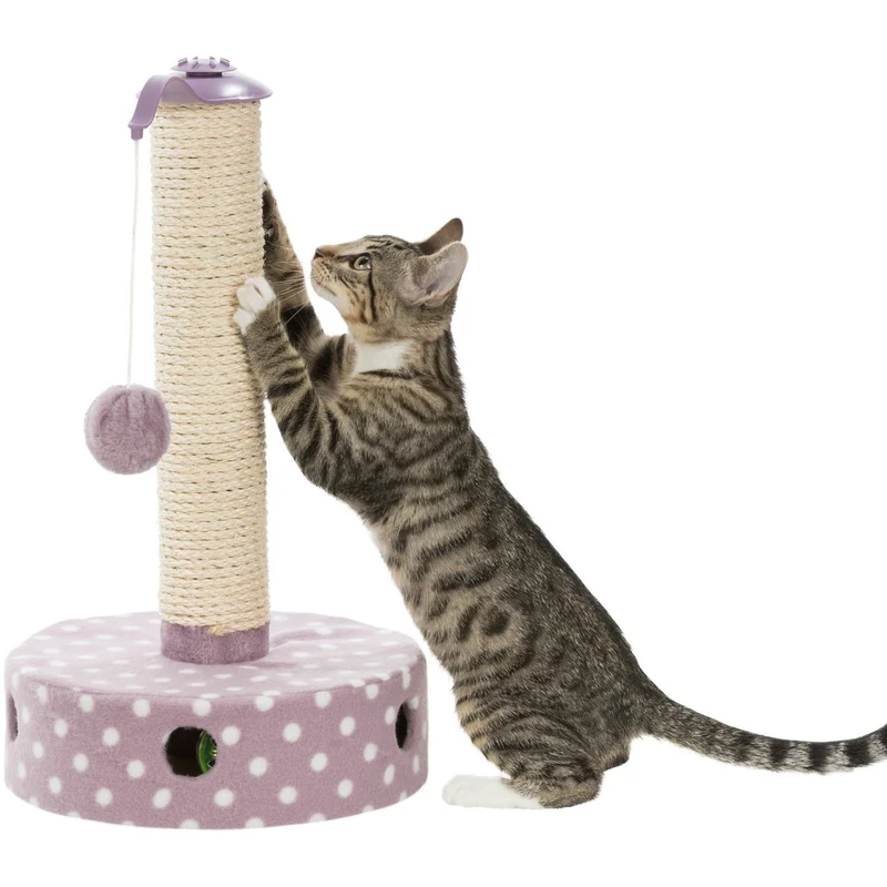 Junior Kratzstamm mit Spielzeug für Kitten