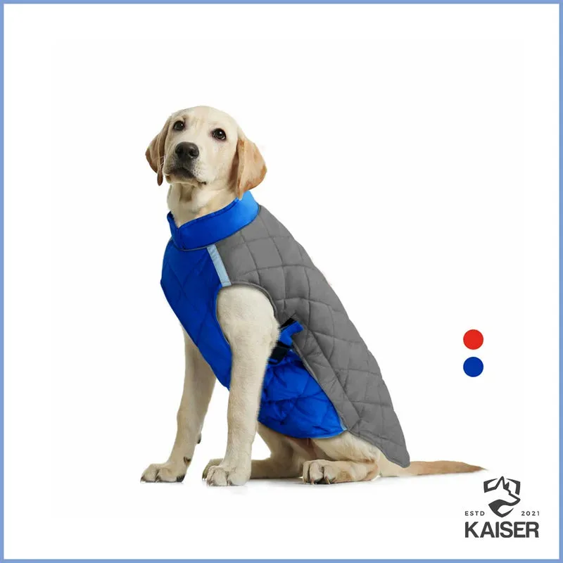 Hundemantel WINTERGUARD