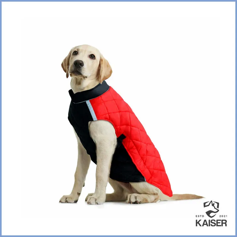 Hundemantel WINTERGUARD