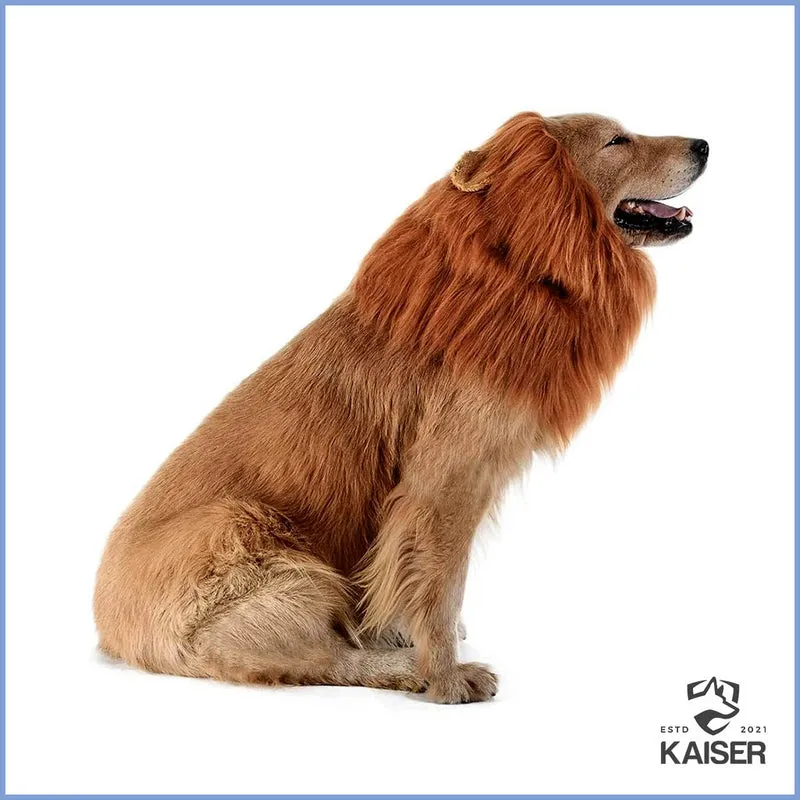 Löwenmähnen-Kostüm für Hunde