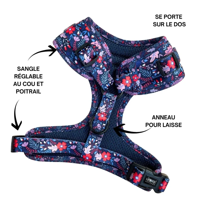 Sellerie Teckel Harnais Violala