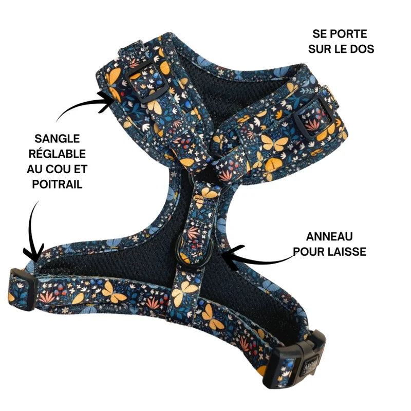 Sellerie Teckel Harnais Butterfly