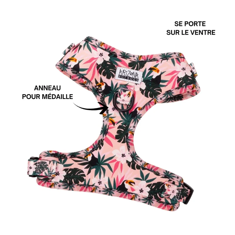 Sellerie Teckel Harnais Tropicool