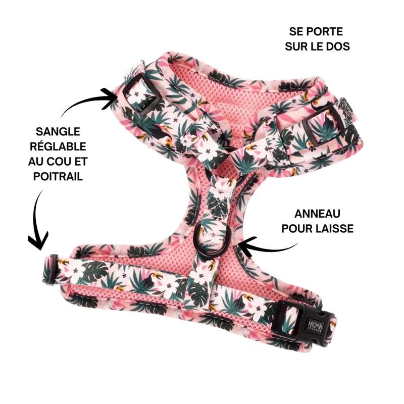 Sellerie Teckel Harnais Tropicool