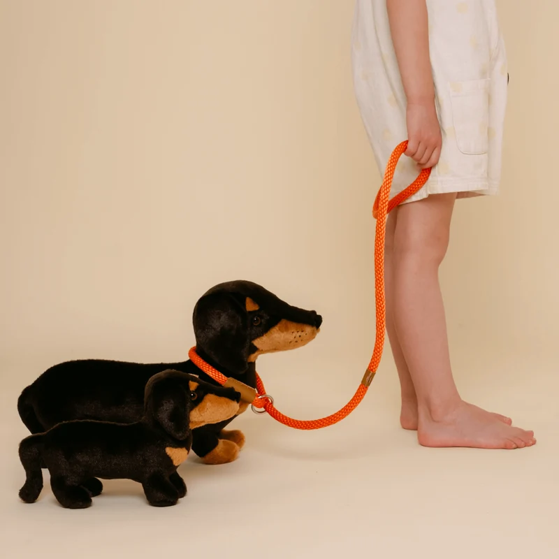 Peluche Teckel Eugène Adulte