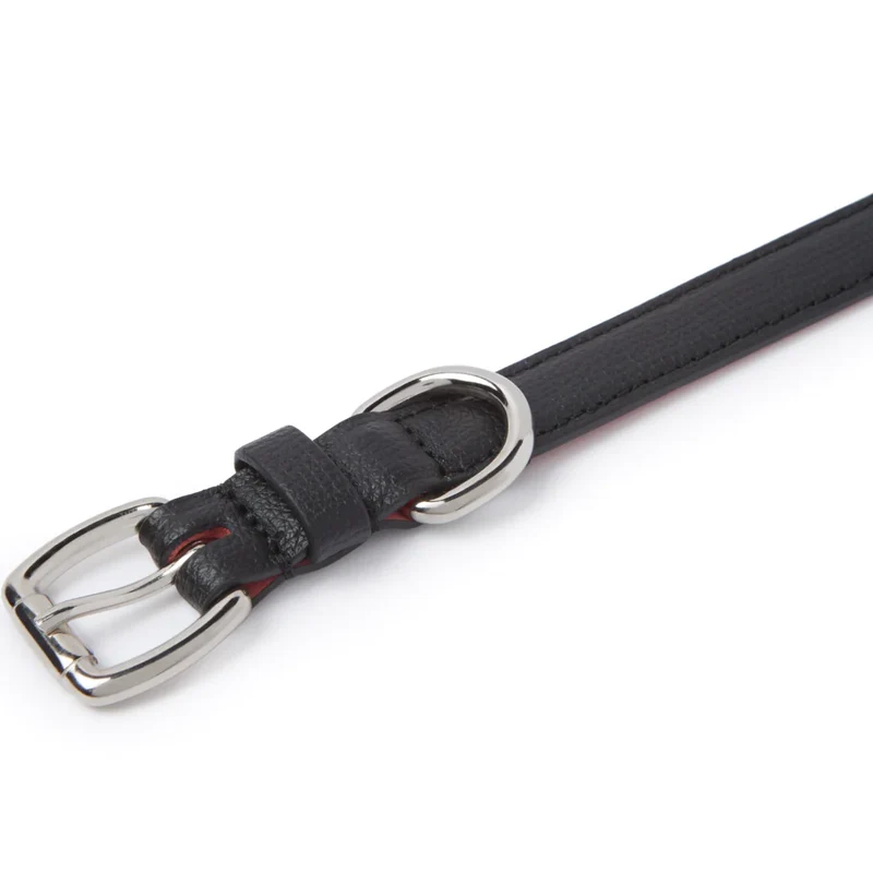 Sellerie Teckel Collier Cuir Toscan Noir