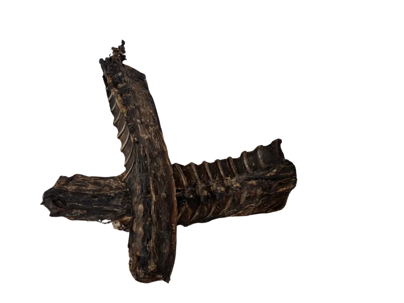 Reh-Rücken
