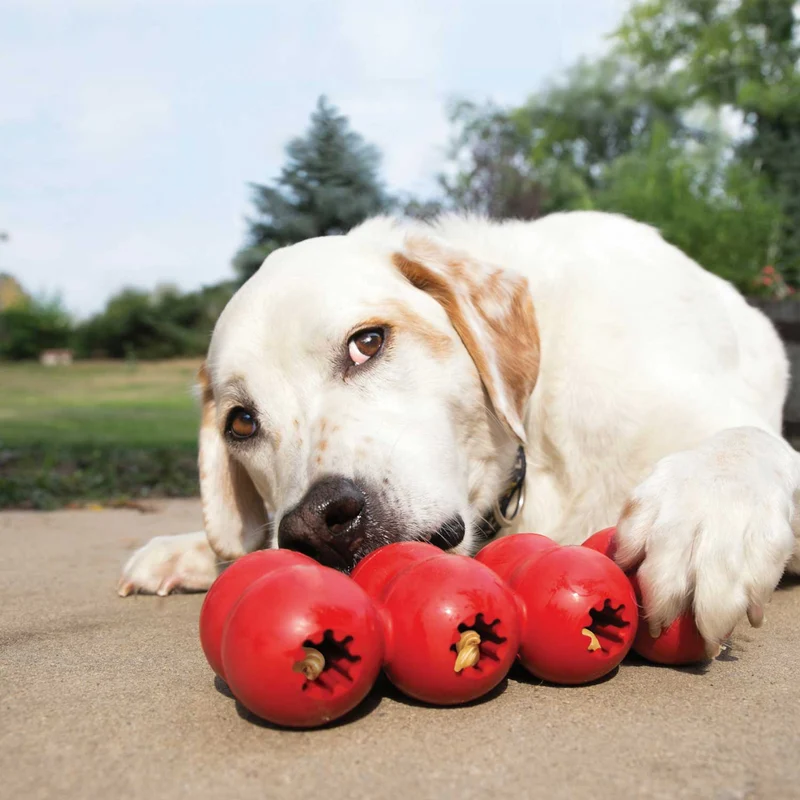 Hundespielzeug KONG® Goodie Ribbon™