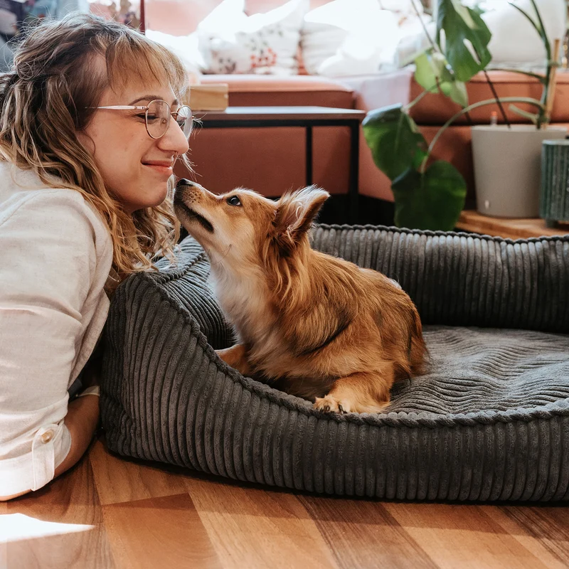 Orthopädisches/Ergonomisches Hundesofa Corbie