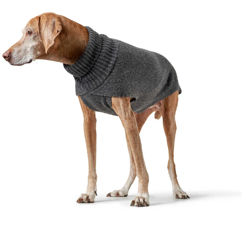 Hundepullover Genf