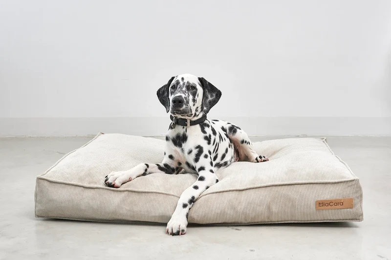 Cordo Hundekissen Greige