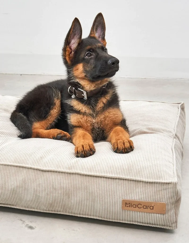 Cordo Hundekissen Greige