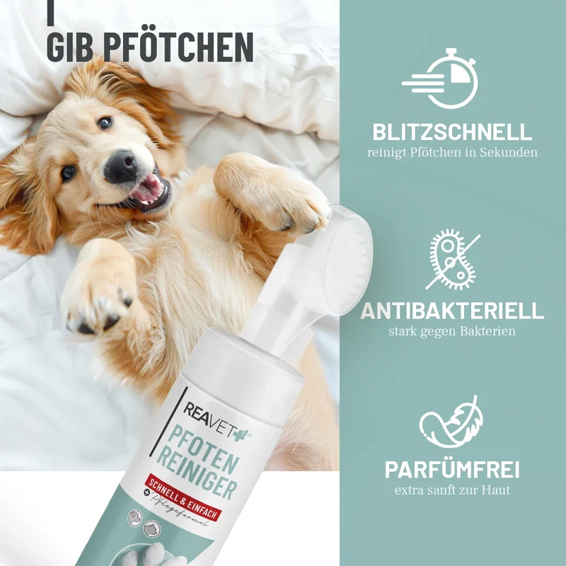Pfotenreiniger Schaum