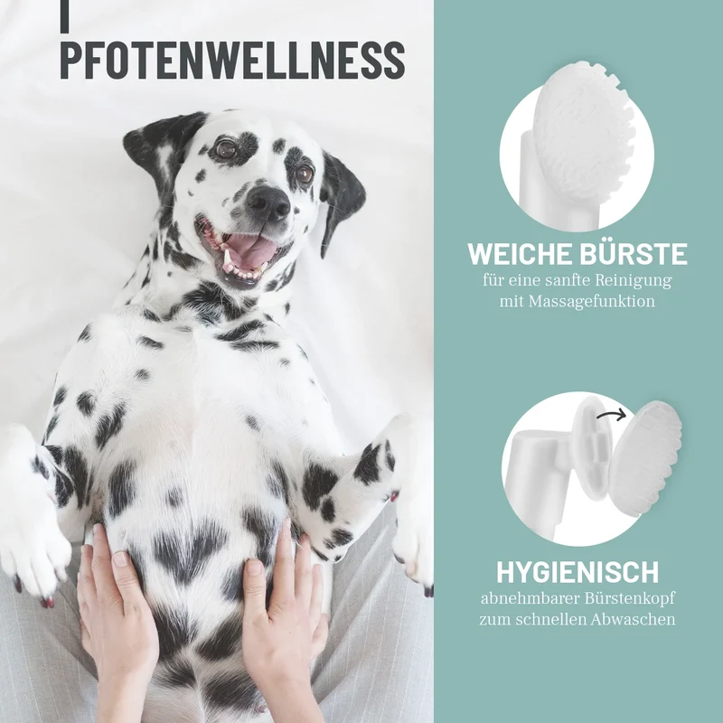 Pfotenreiniger Schaum