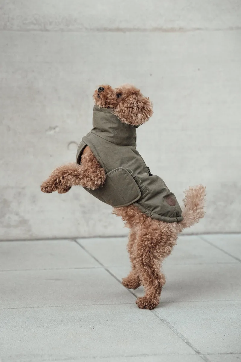 Hundemantel Winter Yukon Teddy Khaki