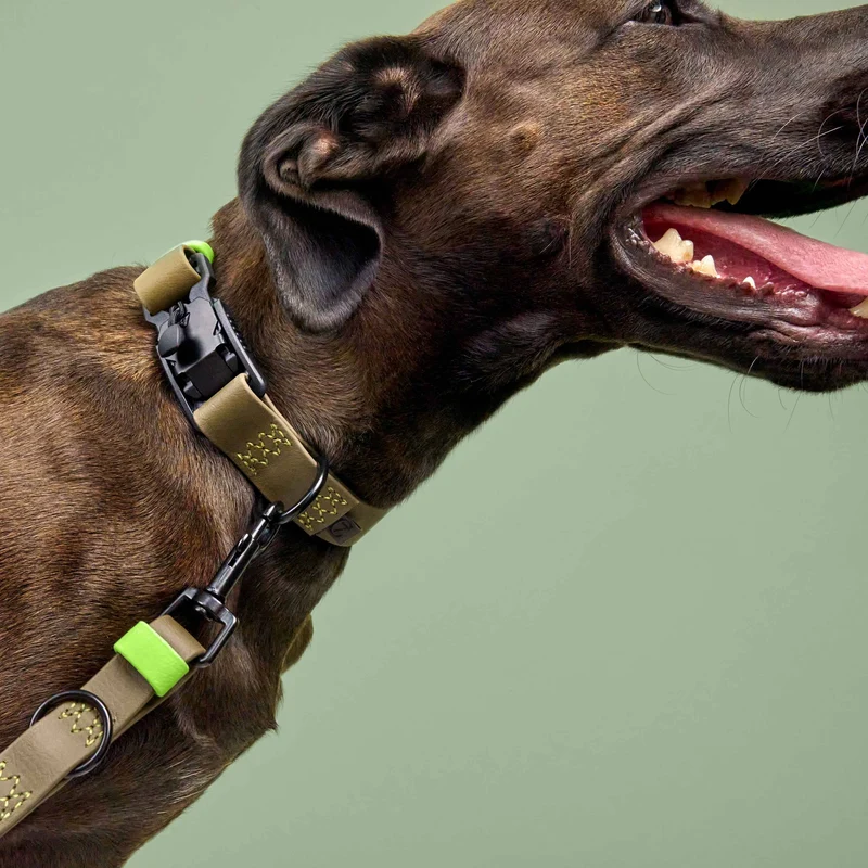 Hundehalsband BioThane Ipanema Olive-Neongrün