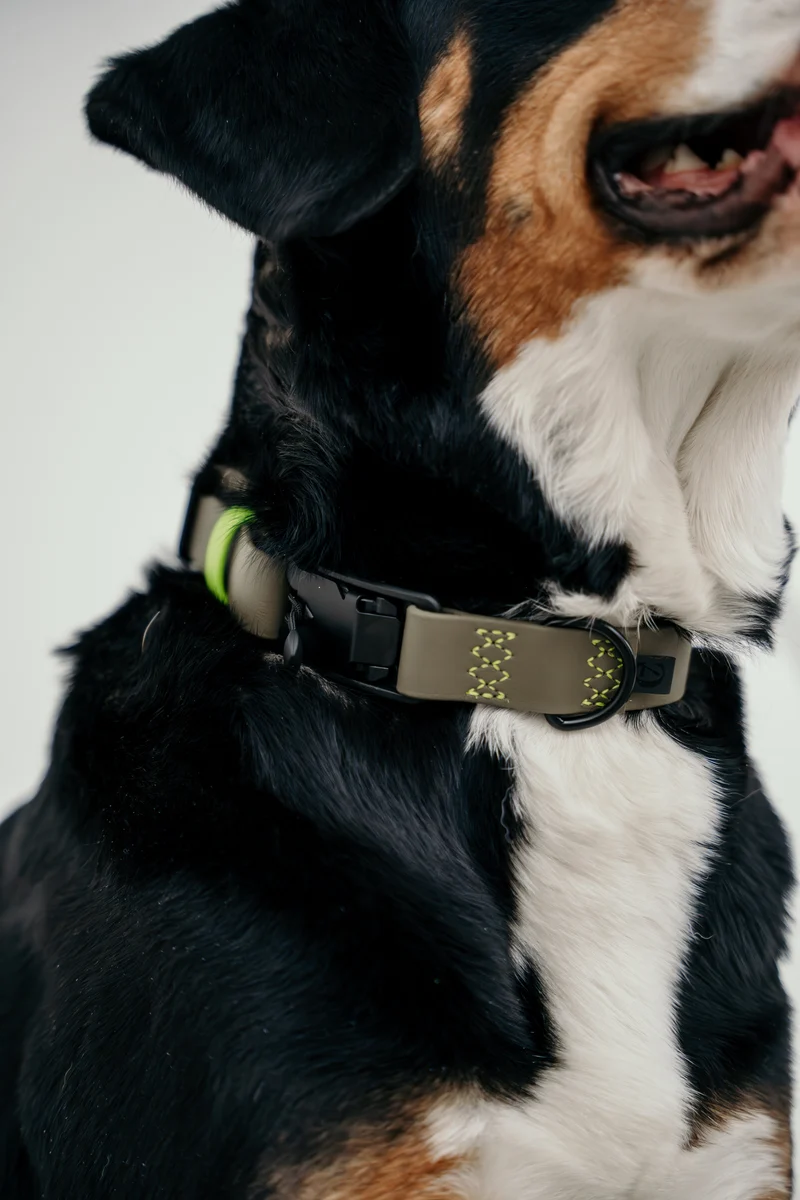 Hundehalsband BioThane Ipanema Olive-Neongrün