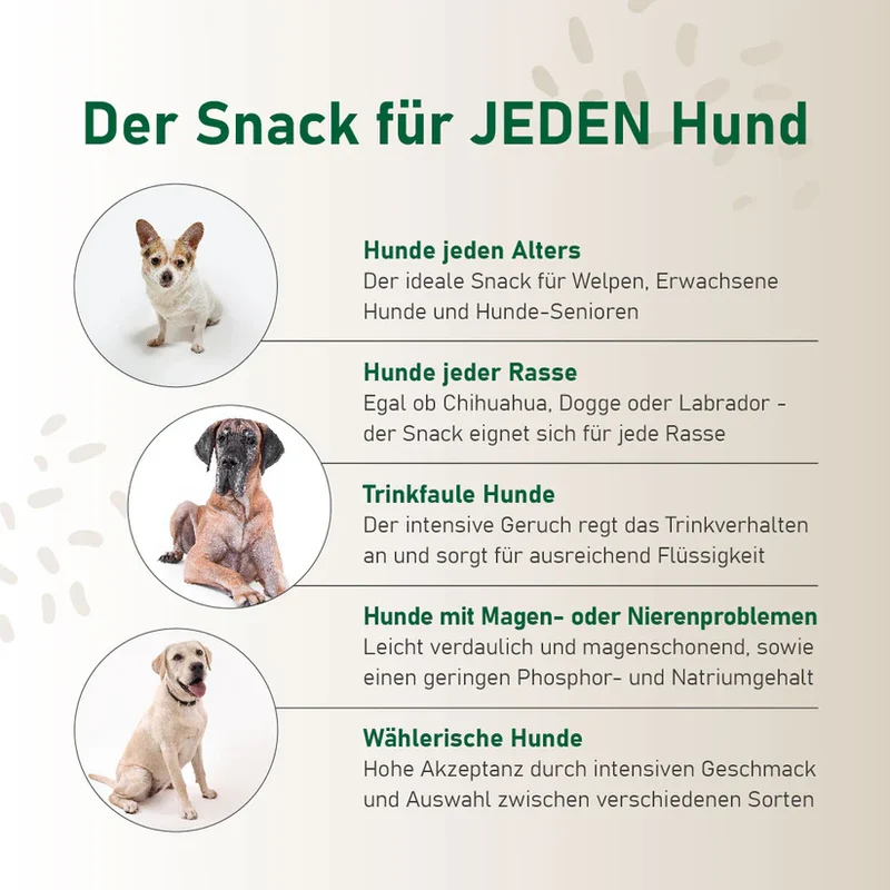 Hundesmoothie Rind