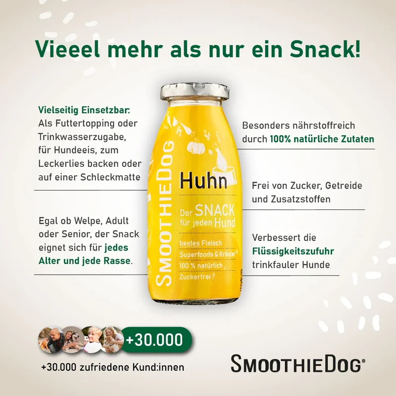 Hundesmoothie Huhn