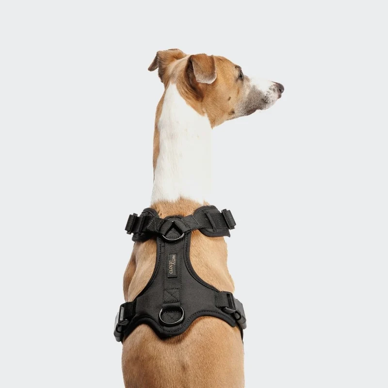 Y-3 Hundegeschirr AKTIV Softshell Black