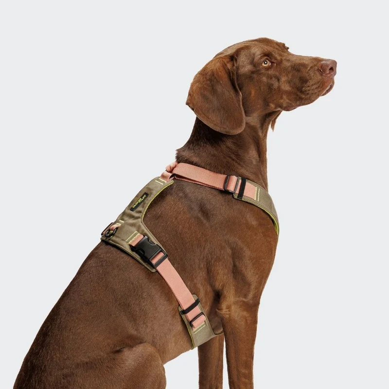 Y-2 Hundegeschirr AKTIV Cordura Khaki/Peach