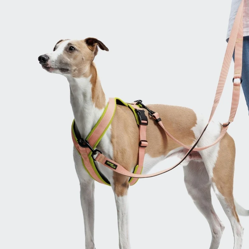Y-1 Hundegeschirr AKTIV Air-Mesh Peach/Neon Green