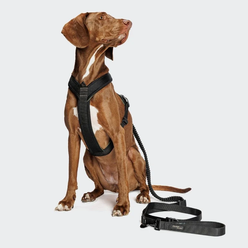 Y-1 Hundegeschirr AKTIV Air-Mesh Black