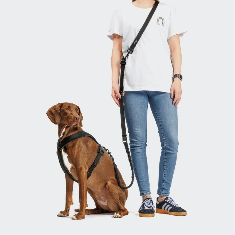 Y-1 Hundegeschirr AKTIV Air-Mesh Black