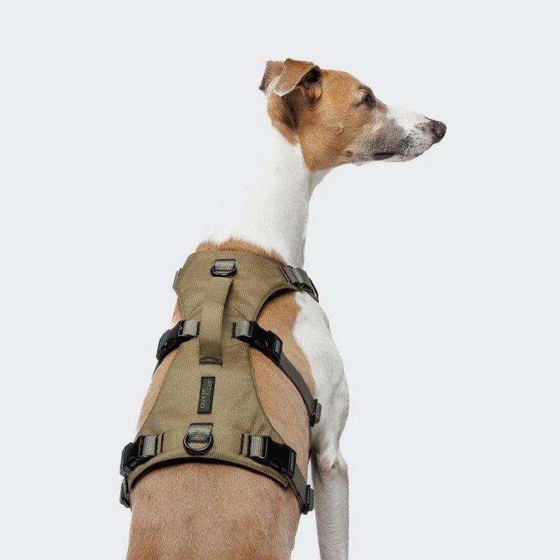 Y-Sicherheitsgeschirr AKTIV Khaki/Grey