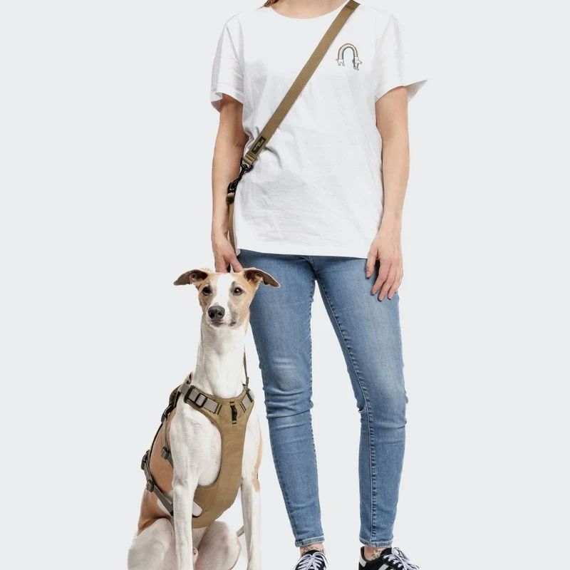 Y-Sicherheitsgeschirr AKTIV Khaki/Grey