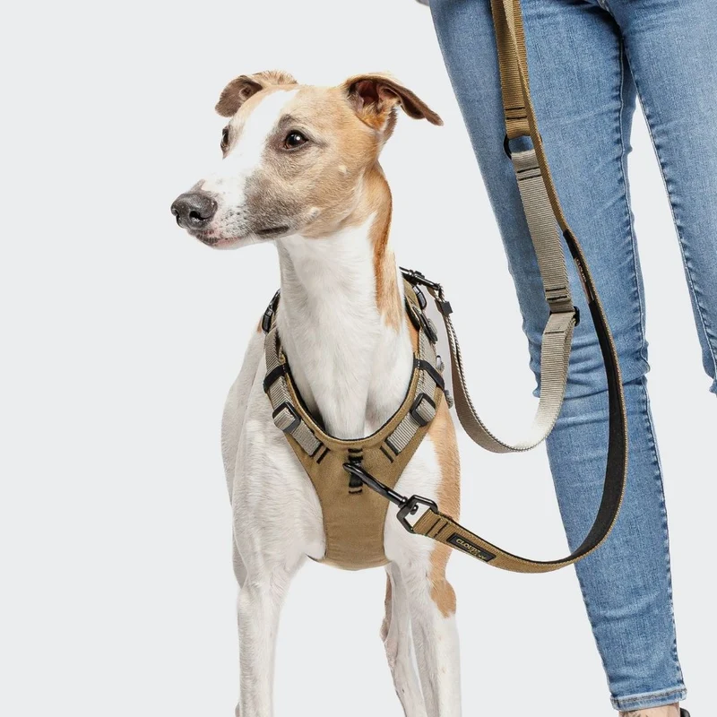 Y-Sicherheitsgeschirr AKTIV Khaki/Grey