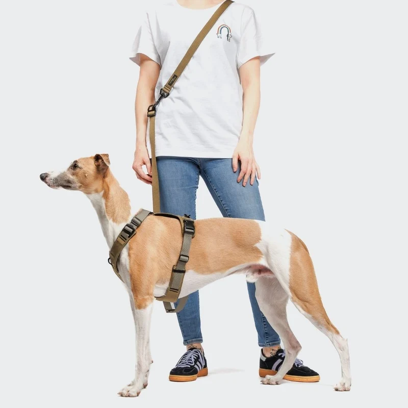 L-1 Freihandleine AKTIV Khaki/Grey