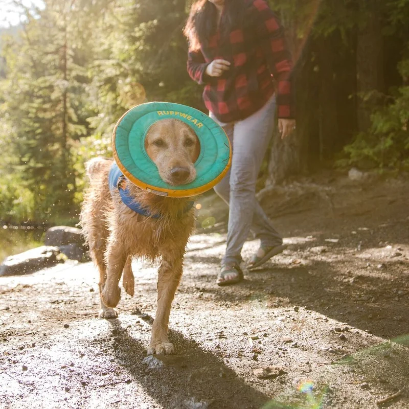 Hydro Plane™ Frisbee Tangelo Orange